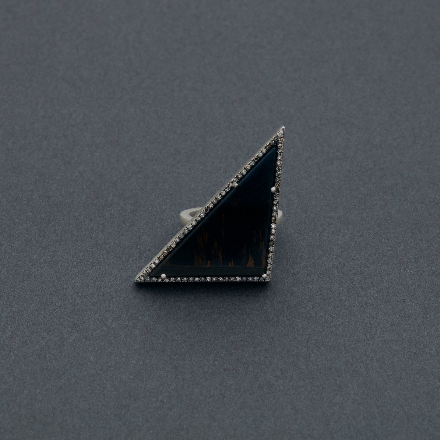 1108 Hawks Eye | One of a Kind Reni Ring