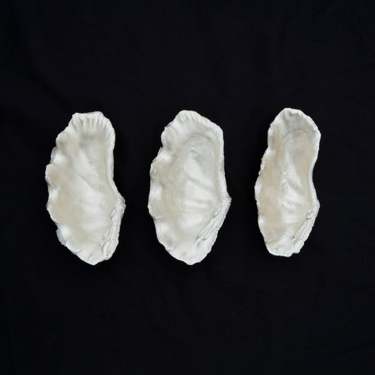 1182 SV1000 Formed Tridacninae Shell M