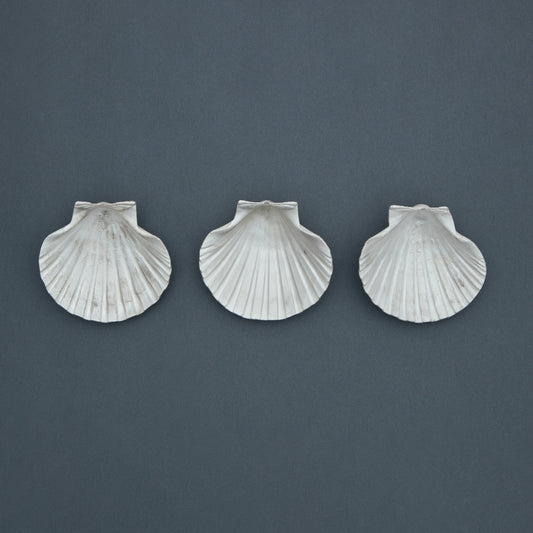 1184 SV1000 Formed Scallop Shell