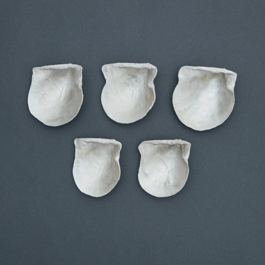 1185 SV1000 Formed Akoya Pearl Shell