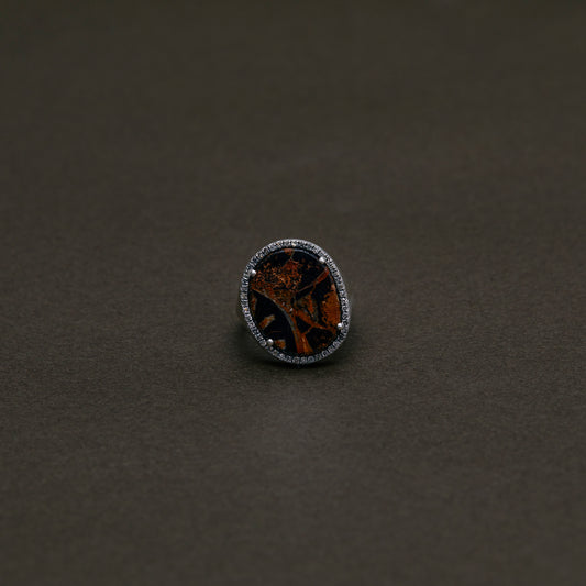 1377 Ammonite | One of a Kind Canan Ring