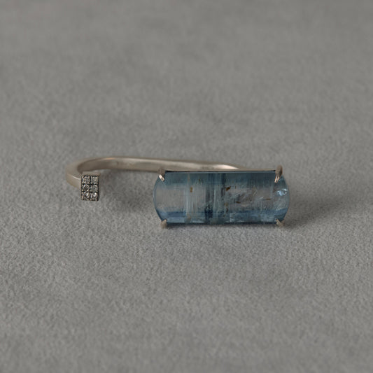 2032 Kyanite | One of a Kind Mare Ring