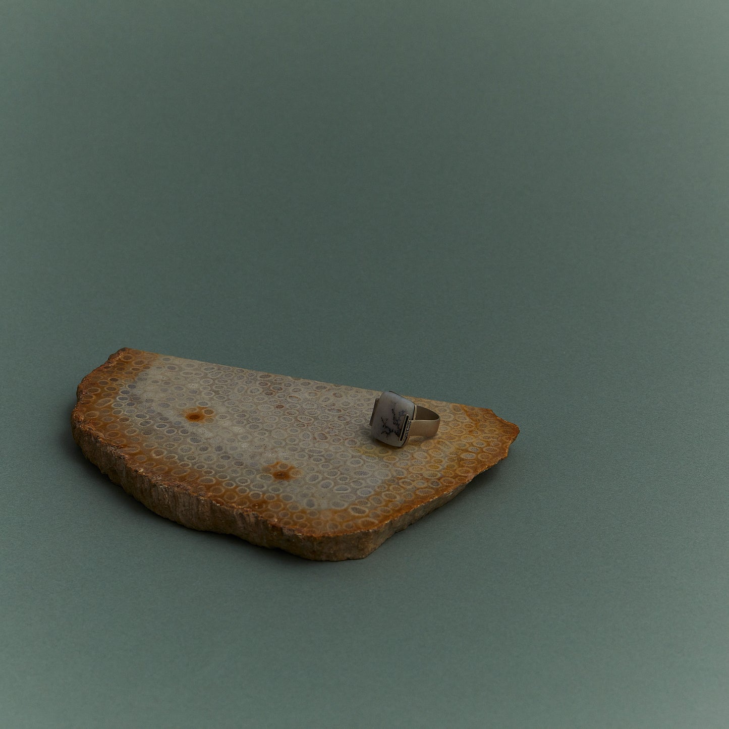 472 Dendrite Agate | One of a Kind Kina Ring