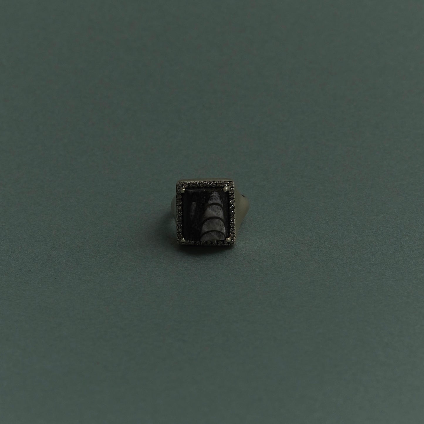 570 Orthoceras | Canan Pinky Ring