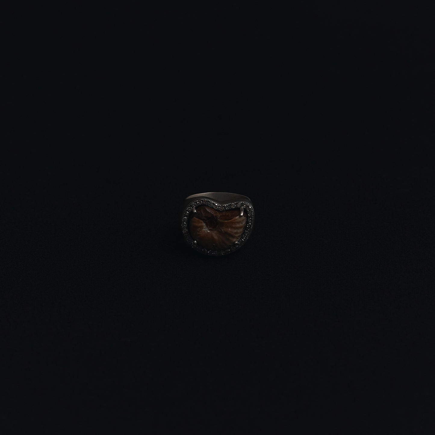 482 Ammonite | One of a Kind Minya Pinky Ring