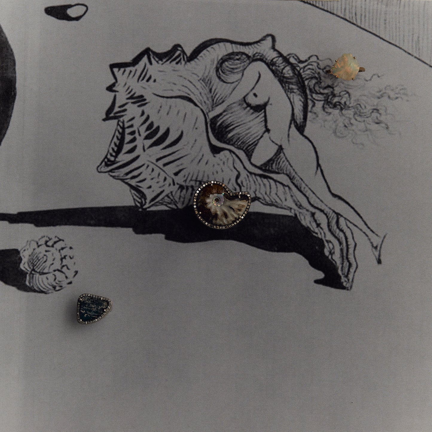 590 Ammonite | One of a Kind Reni Ring