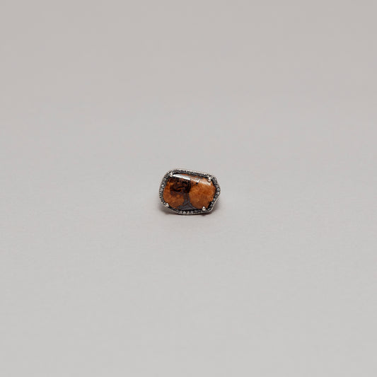 811 Ammonite | One of a Kind Canan Ring