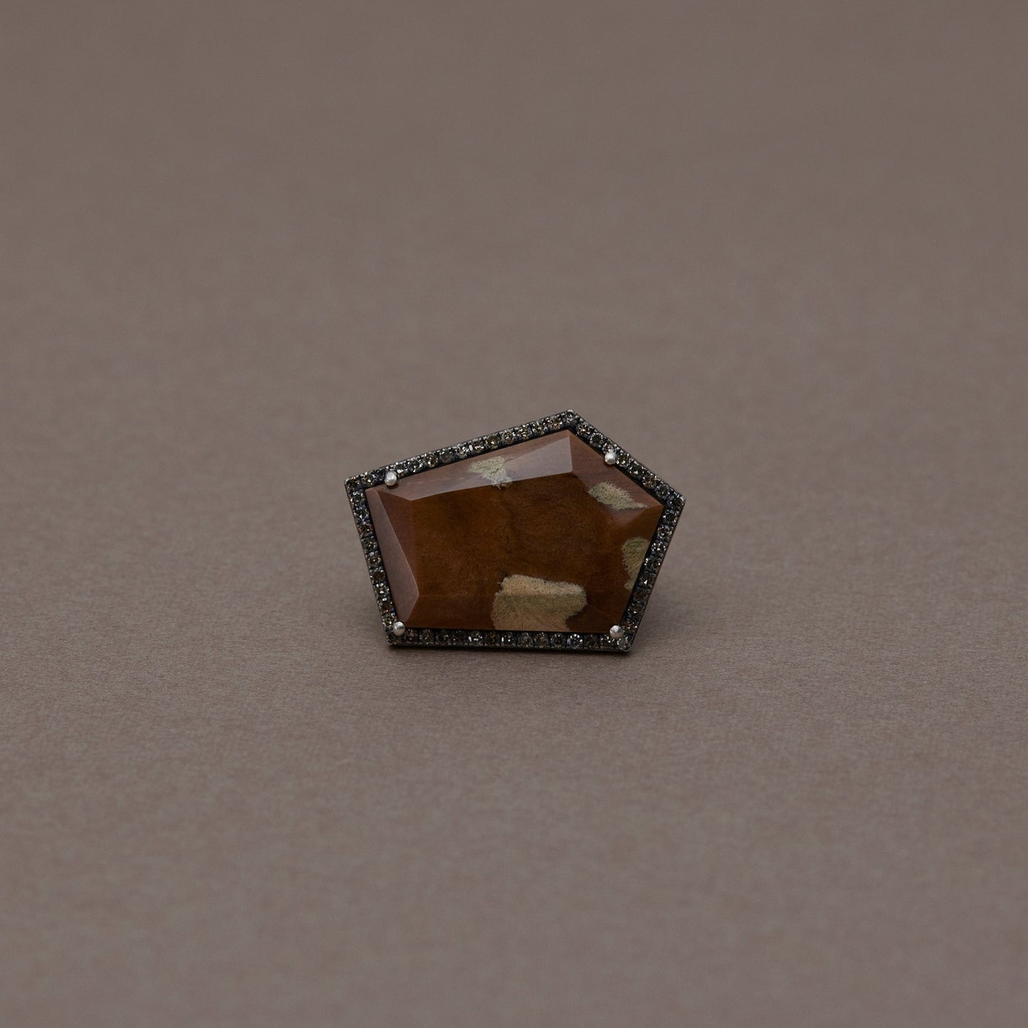 1622 Petrified Wood | One of a Kind Reni Ring