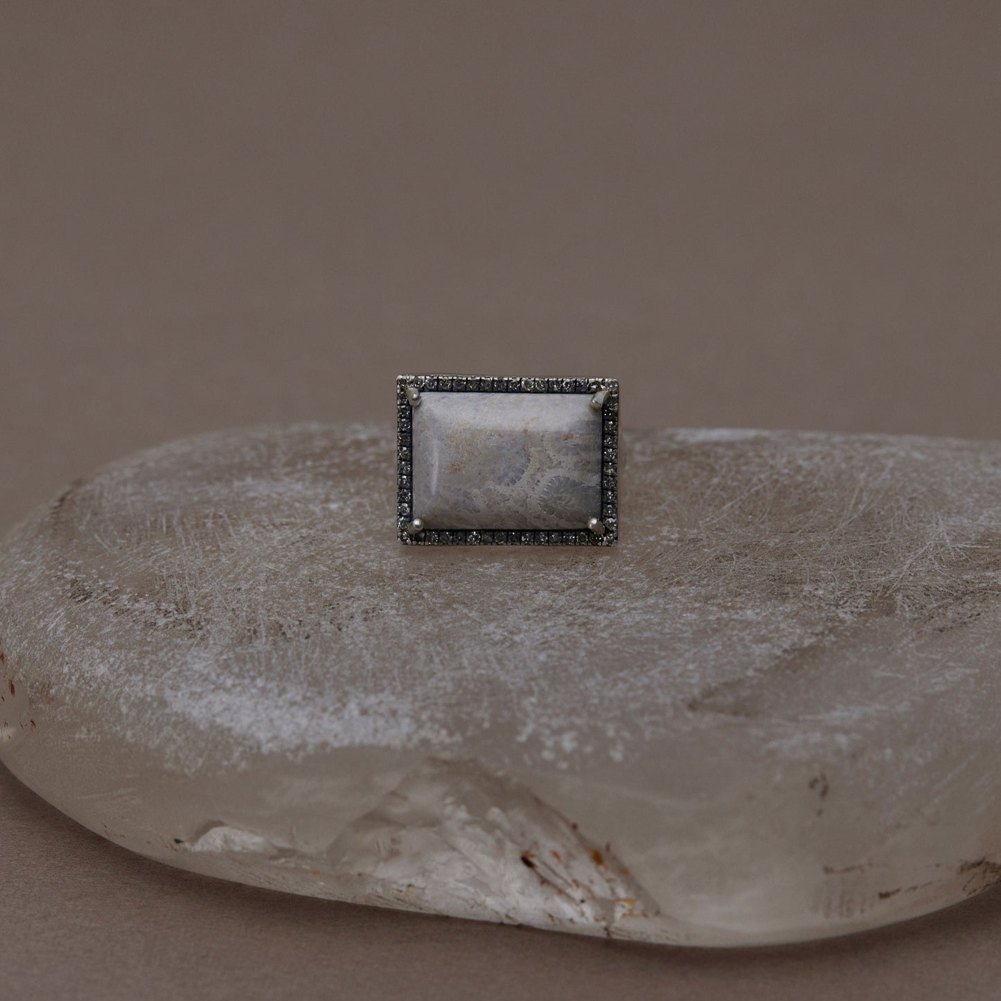 1564 Coral Fossil | One of a Kind Canan Ring