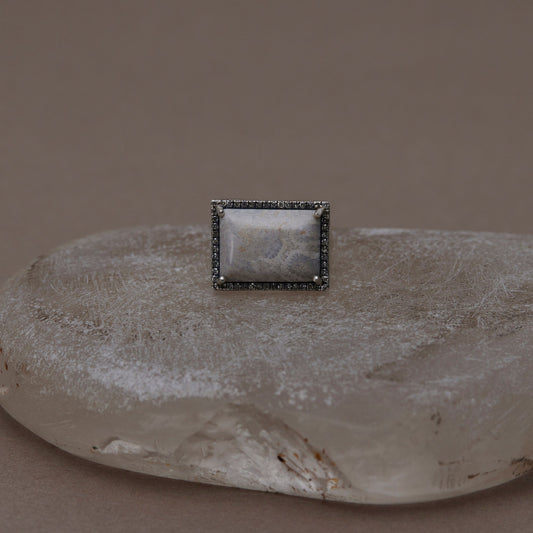 1564 Coral Fossil | One of a Kind Canan Ring