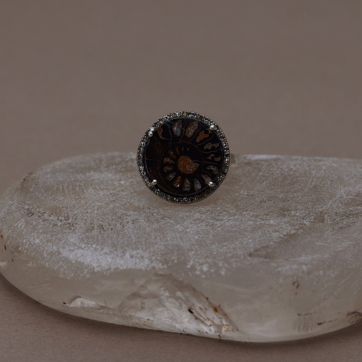 1618 Ammonite | One of a Kind Reni Ring