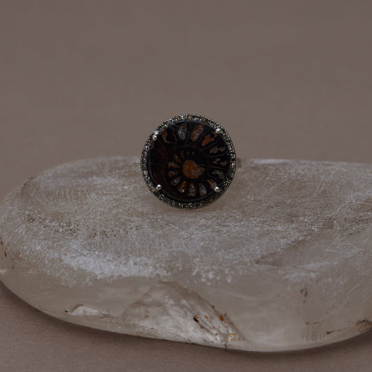 1618  Ammonite | One of a Kind Reni Ring