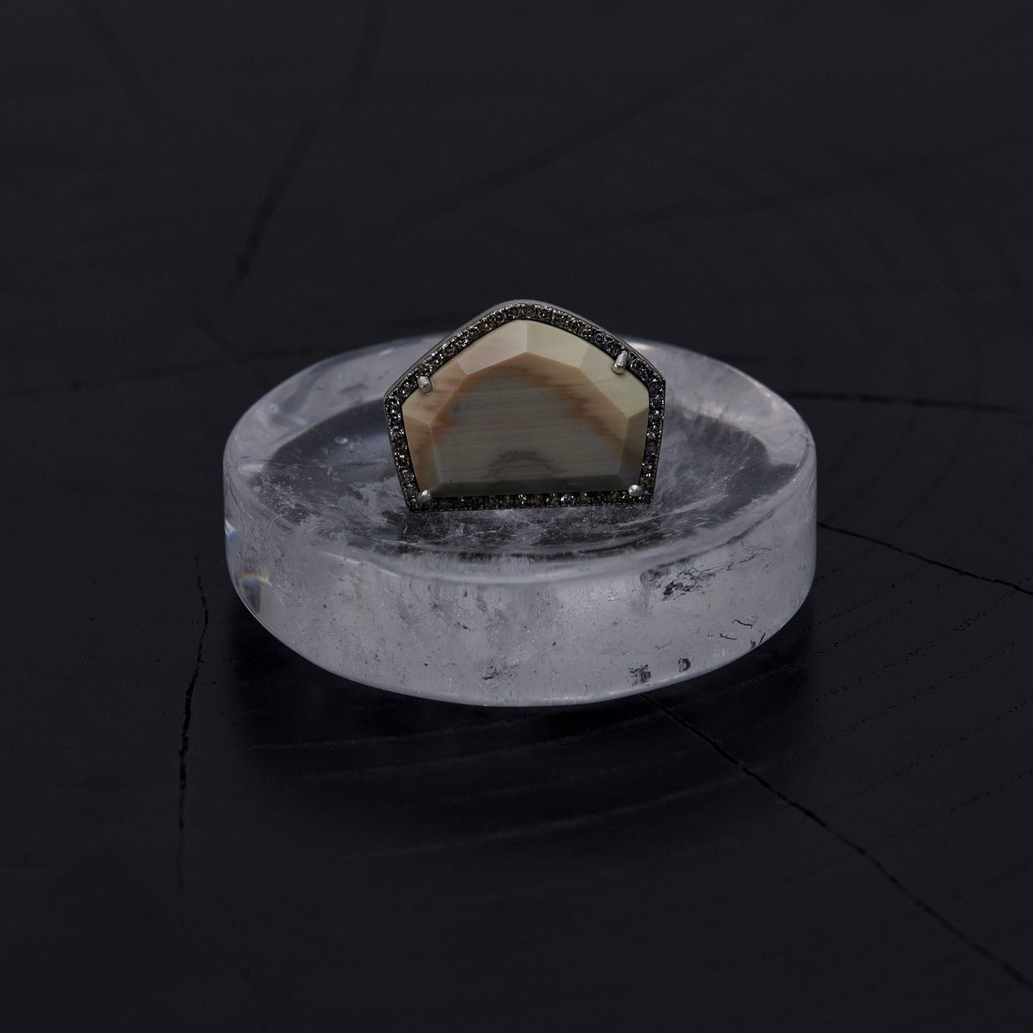 1620 Petrified Wood | One of a Kind Reni Ring
