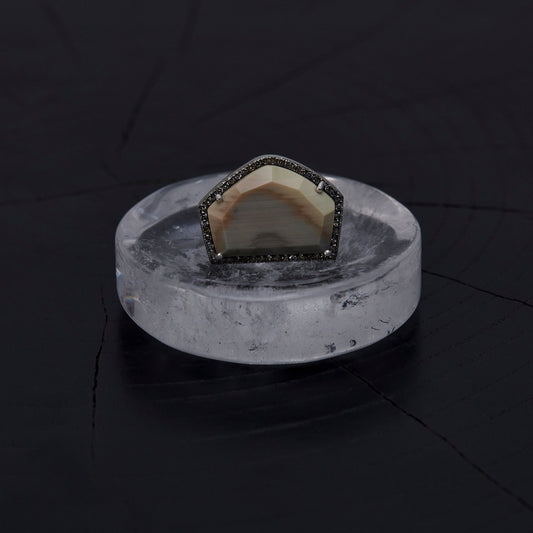 1620  Petrified Wood | One of a Kind Reni Ring