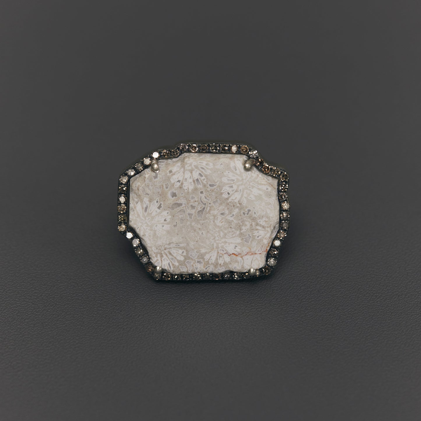 1754 Coral Fossil | One of a Kind Reni Ring