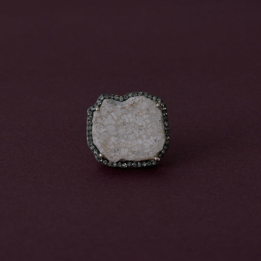 3162 Coral Fossil | One of a Kind Canan Ring