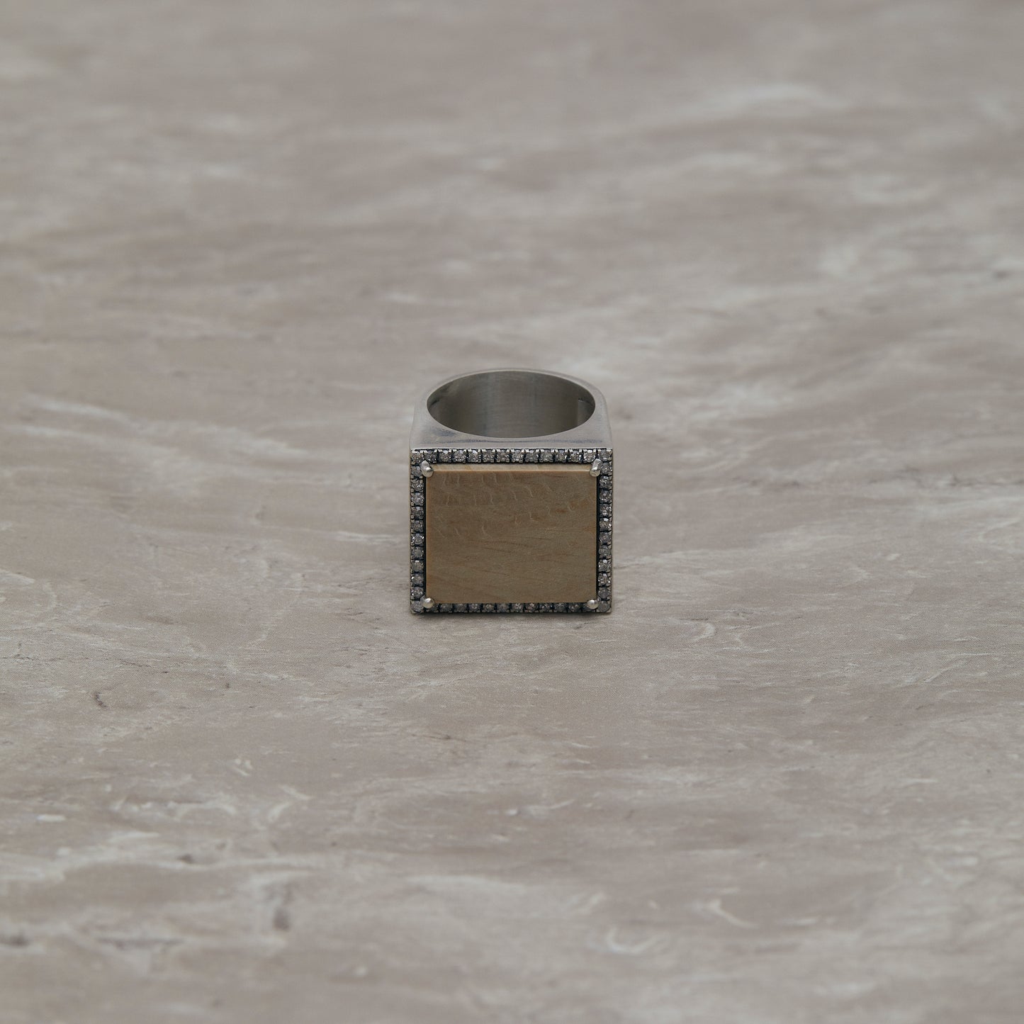985 Petrified Wood | One of a Kind Minya Pinky Ring