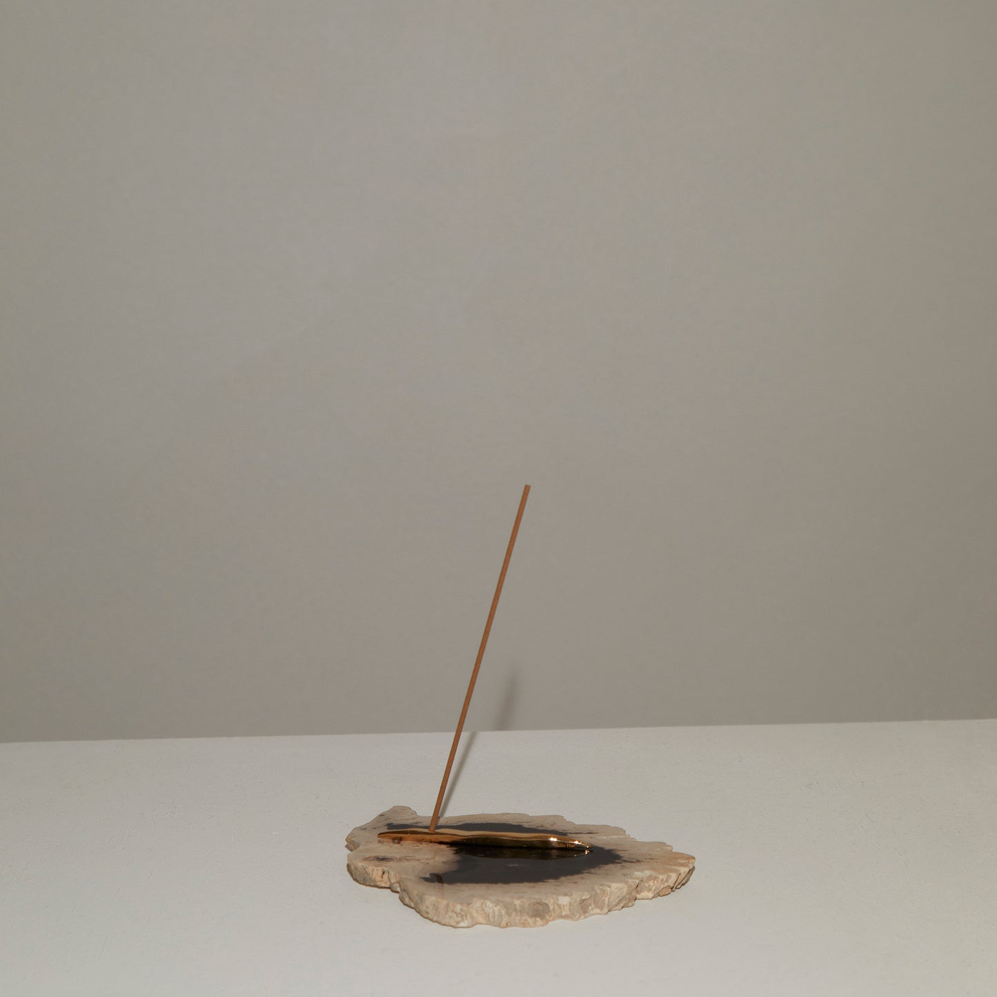 124 Palm Root Fossil | High polish Incense Holder