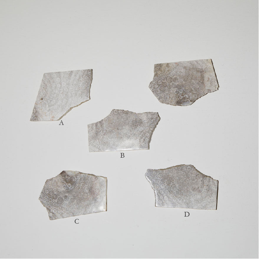 126 Coral Fossil | Matt Incense Holder
