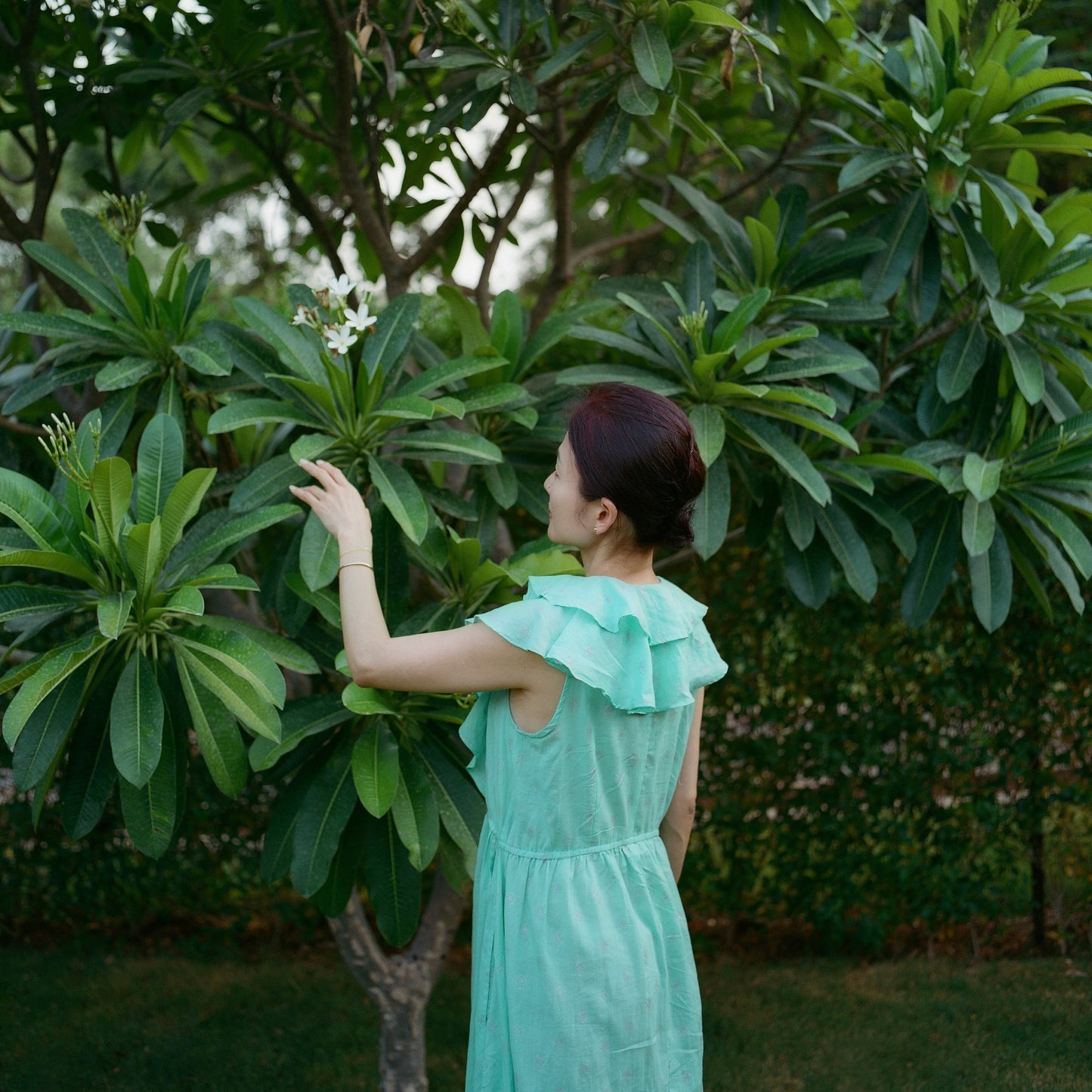 【sumiere】Fennel dress | French club | Spearmint