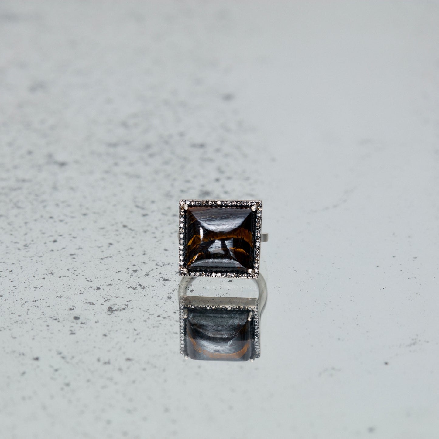 1106 Iron Tiger | One of a Kind Reni Ring