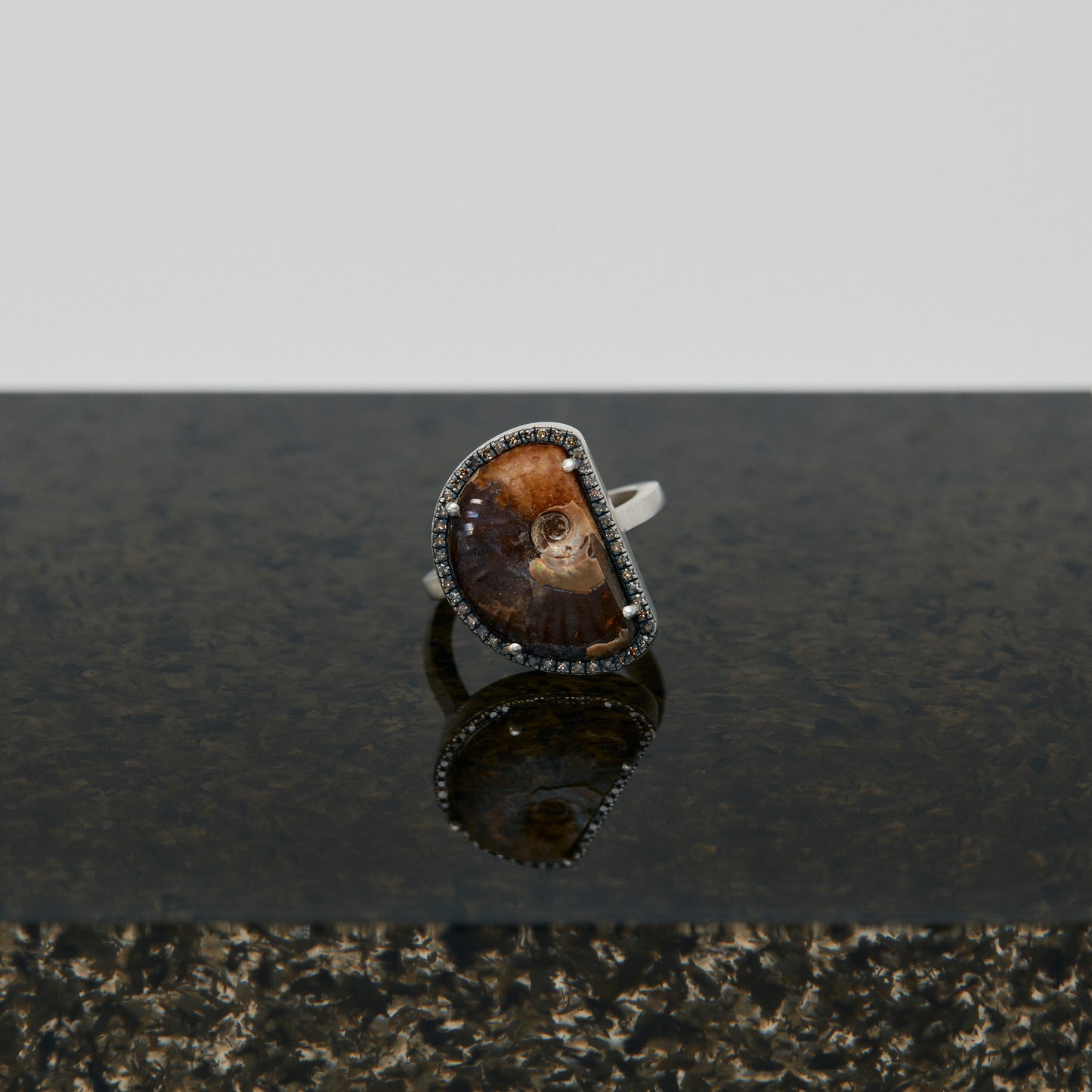 1272 Ammonite | One of a Kind Reni Ring