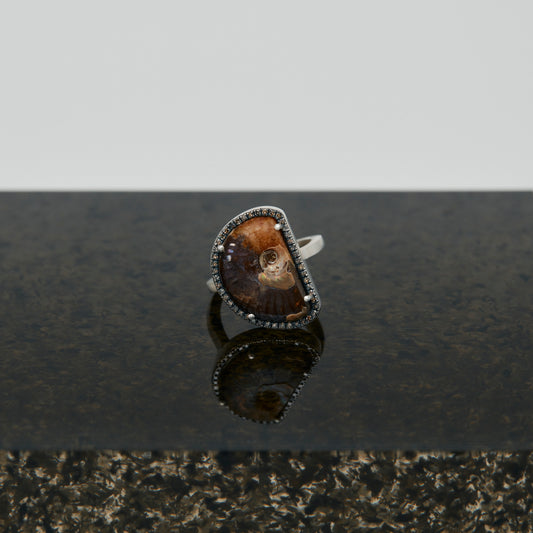 1272 Ammonite | One of a Kind Reni Ring