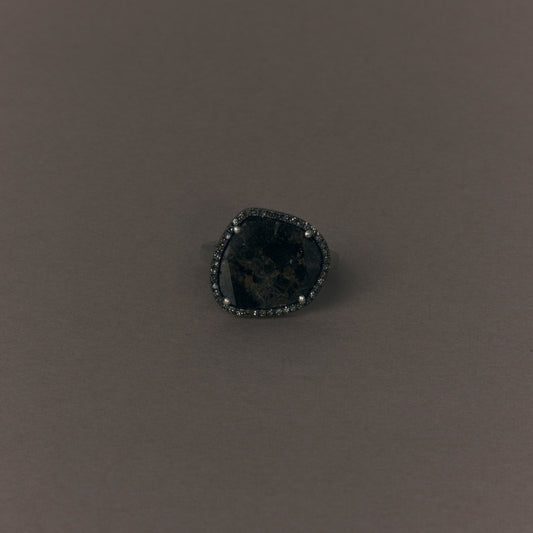 2165 Slice Diamond | One of a Kind Reni Ring