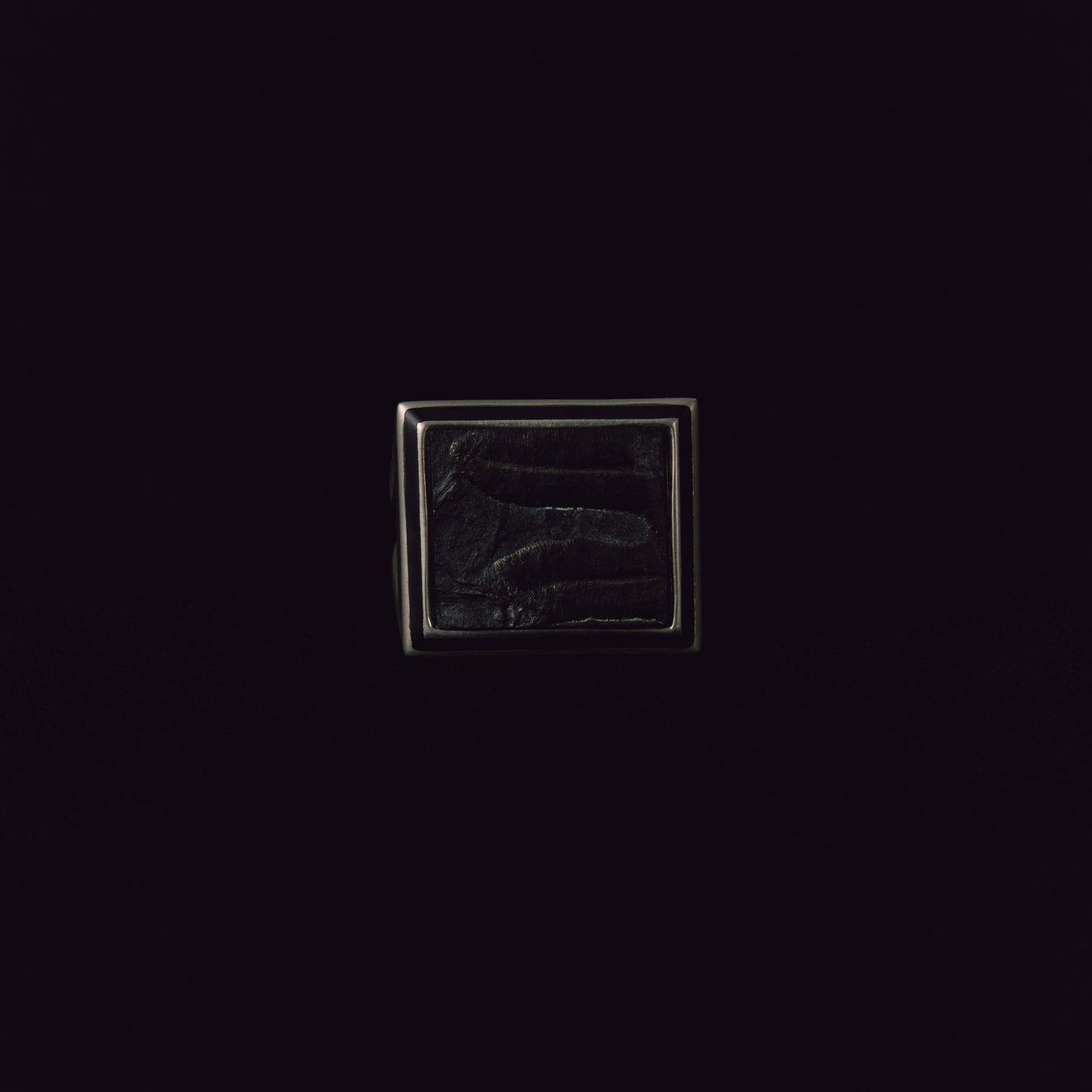 2839 Alethopteris | One of Kind Mibu Black Ring