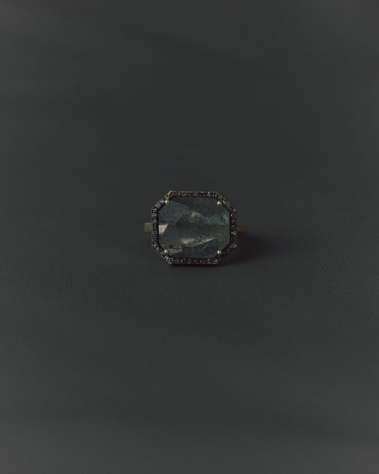 2988 Moss Aquamarine | One of Kind Reni Ring