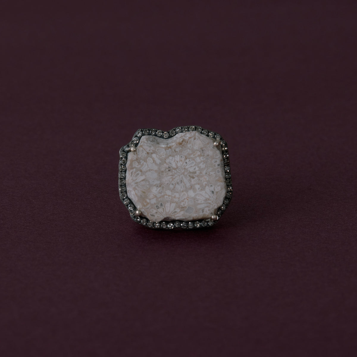 3162 Coral Fossil | One of a Kind Canan Ring