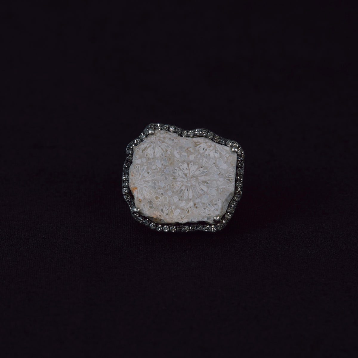 3163 Coral Fossil | One of a Kind Canan Ring