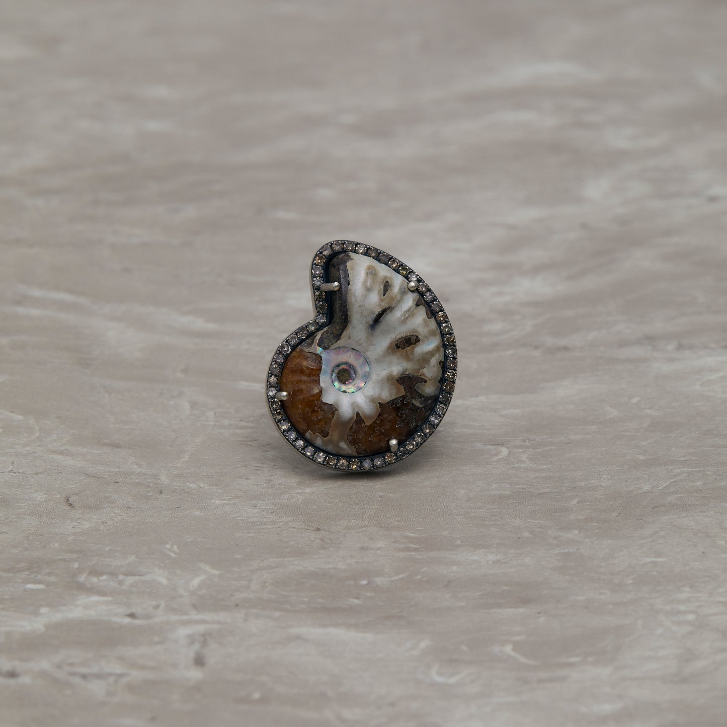 590 Ammonite | One of a Kind Reni Ring