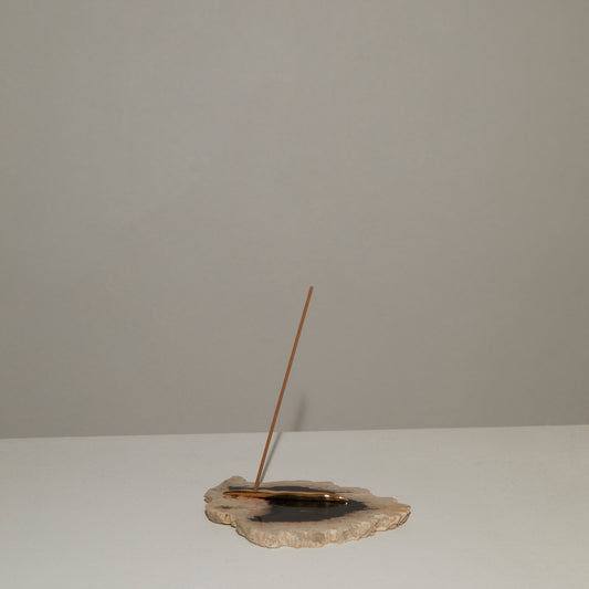 124 Palm Root Fossil | High polish Incense Holder