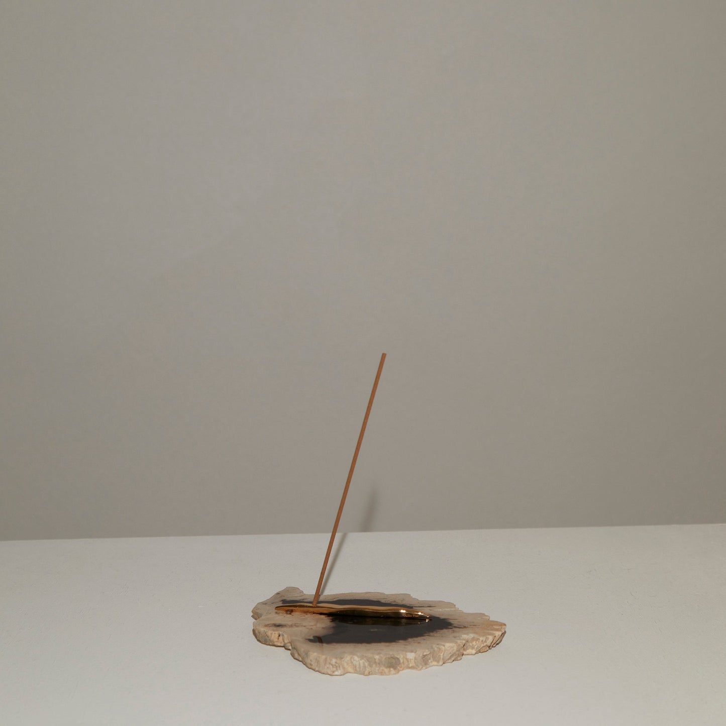 127 Palm Root Fossil |  Matt Incense Holder